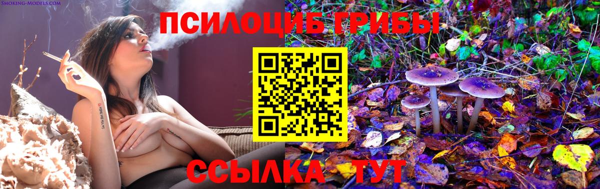 Псилоцибиновые грибы Cubensis Новочеркасск