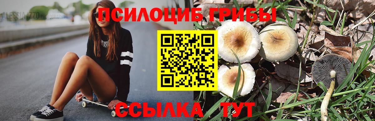 Галлюциногенные грибы Cubensis  Галлюциногенные грибы прущие грибы  Вход с VPN  Новочеркасск 
